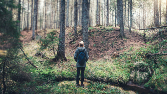 Managing the Menopause