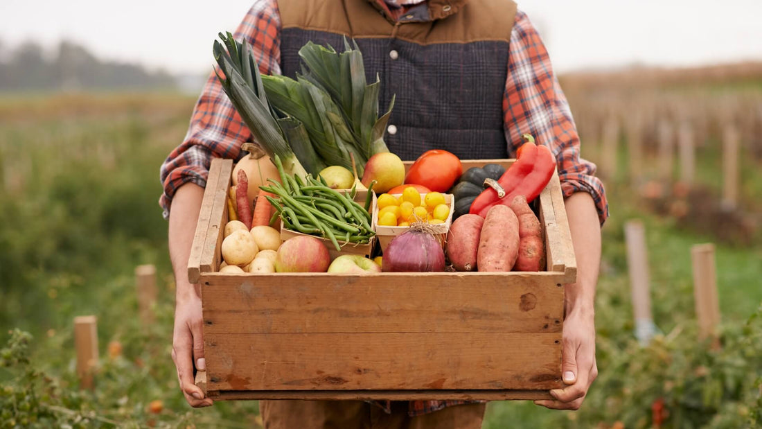 Is Modern Fruit and Veg Less Nutritious?